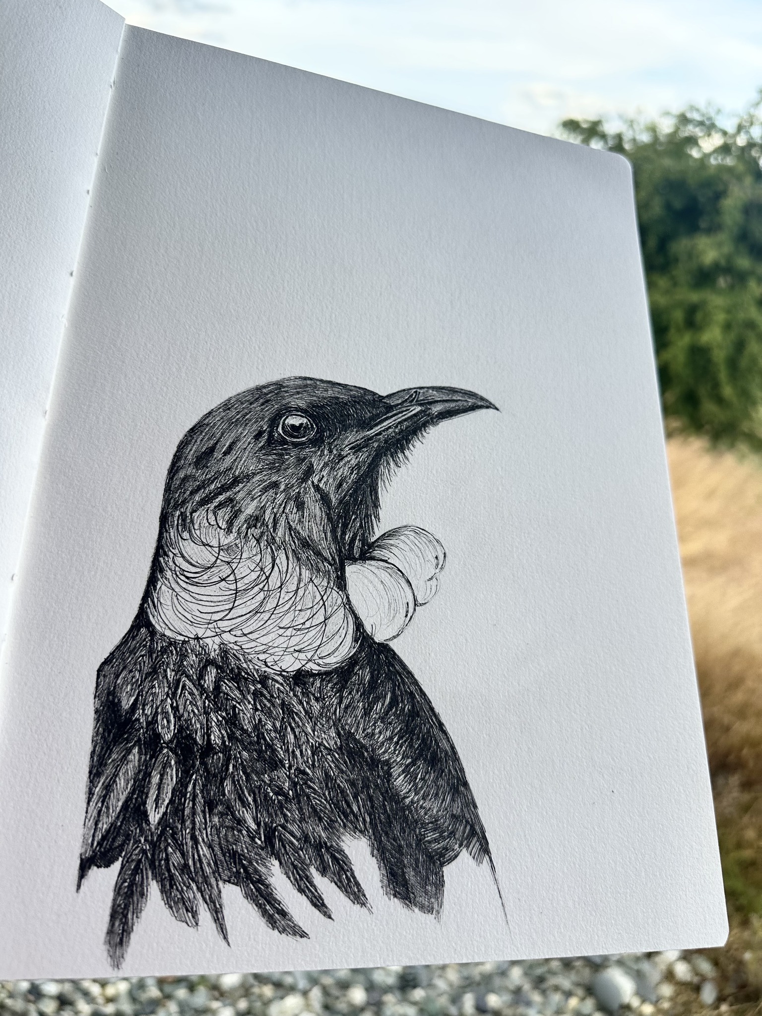 Who Cares? Care As An Action