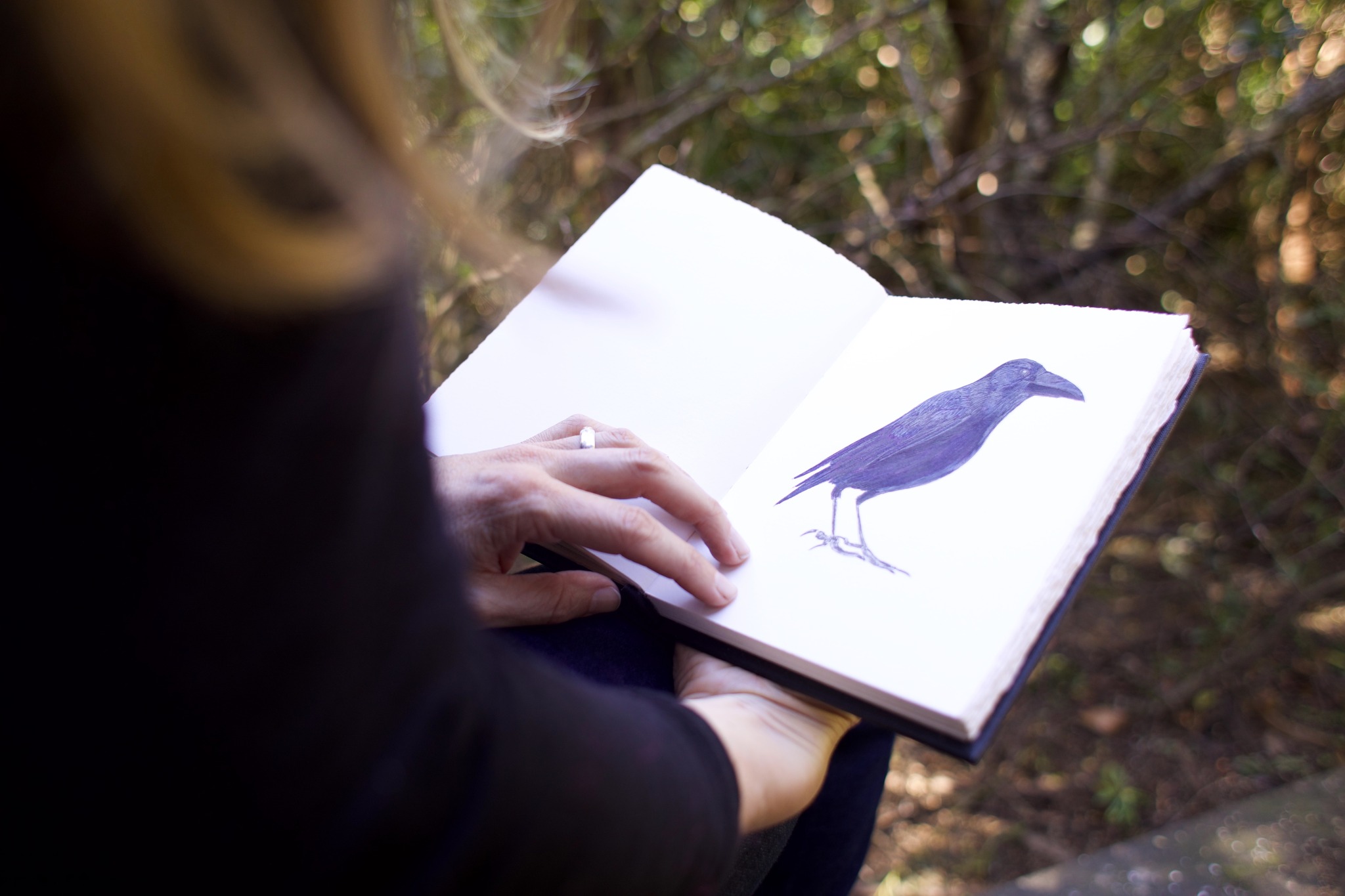 Wanting To Develop A Writing Habit? Start & End Each Time With A Question